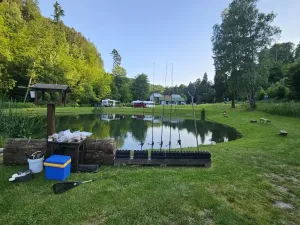Prodej chaty, Zábřeh - Dolní Bušínov, 600 m2