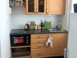 Pronájem bytu 1+1, Praha - Troja, Krynická, 29 m2