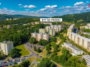 Prodej bytu 3+1, Ústí nad Labem - Mojžíř, Peškova, 65 m2