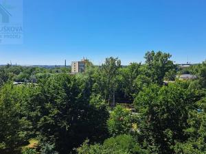 Pronájem bytu 1+kk, Ostrava, Hornopolní, 30 m2