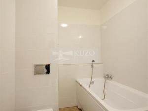 Pronájem bytu 1+1, Chomutov, Kostnická, 35 m2