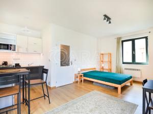 Pronájem bytu 1+kk, Praha - Nusle, Nad Nuslemi, 30 m2