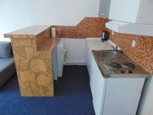 Pronájem bytu 1+kk, Praha - Vinohrady, Soběslavská, 30 m2