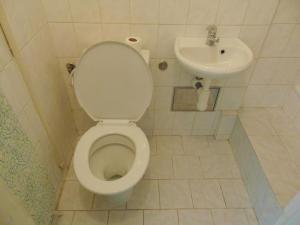 Pronájem bytu 1+kk, Praha - Vinohrady, Soběslavská, 30 m2