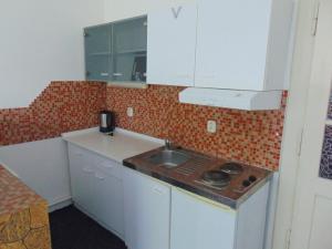 Pronájem bytu 1+kk, Praha - Vinohrady, Soběslavská, 30 m2