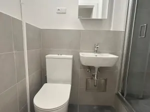 Pronájem bytu 1+kk, Praha - Vinohrady, Soběslavská, 30 m2