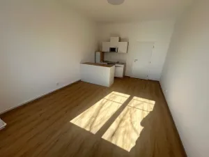 Pronájem bytu 1+kk, Praha - Vinohrady, Soběslavská, 28 m2