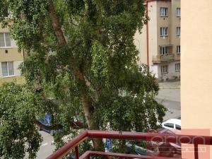 Pronájem bytu 2+1, Praha - Nusle, U družstva Repo, 59 m2