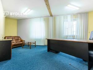 Prodej obchodního prostoru, Krupka, Dlouhá, 1110 m2