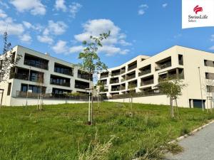 Pronájem bytu 1+kk, Plzeň, Diamantová, 45 m2