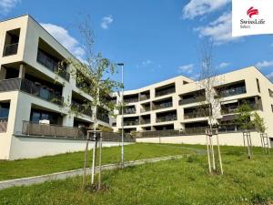 Pronájem bytu 1+kk, Plzeň, Diamantová, 45 m2