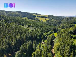 Prodej chalupy, Branná, 220 m2