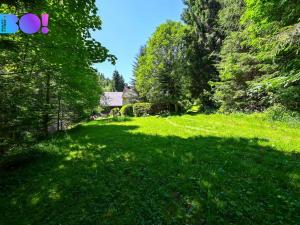 Prodej chalupy, Branná, 220 m2