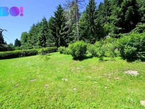 Prodej chalupy, Branná, 220 m2
