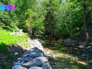 Prodej chalupy, Branná, 220 m2