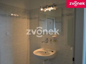 Pronájem obchodního prostoru, Bystřice pod Hostýnem, 270 m2