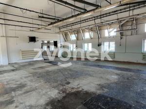 Pronájem výrobních prostor, Zlín - Prštné, 532 m2