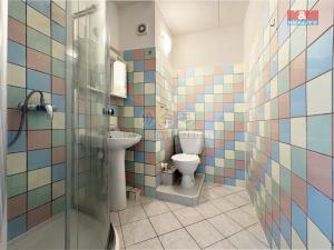Pronájem bytu 1+kk, Karlovy Vary - Stará Role, Fibichova, 18 m2
