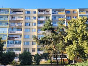 Pronájem bytu 2+kk, Praha - Braník, Novodvorská, 42 m2