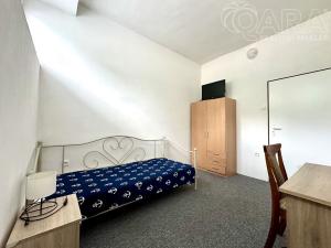 Pronájem pokoje, Mělník, Plavební, 12 m2