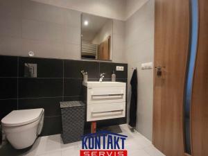 Pronájem bytu 2+kk, České Budějovice, B. Smetany, 46 m2