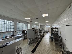 Prodej skladu, Jakartovice, 684 m2