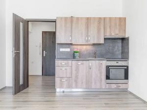 Pronájem bytu 1+kk, České Budějovice, Dlouhá, 27 m2