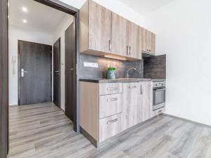 Pronájem bytu 1+kk, České Budějovice, Dlouhá, 27 m2