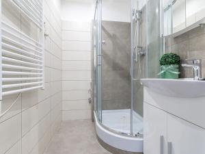 Pronájem bytu 1+kk, České Budějovice, Dlouhá, 27 m2