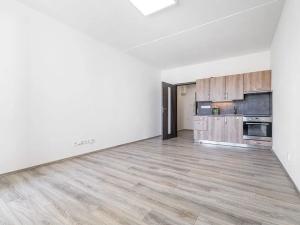 Pronájem bytu 1+kk, České Budějovice, Dlouhá, 27 m2