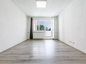 Pronájem bytu 1+kk, České Budějovice, Dlouhá, 27 m2