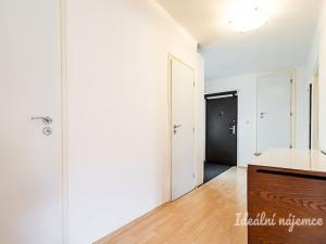 Pronájem bytu 2+kk, Praha - Holešovice, U průhonu, 73 m2