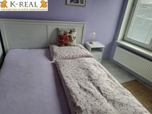 Pronájem bytu 1+kk, Brno, Pražská, 24 m2