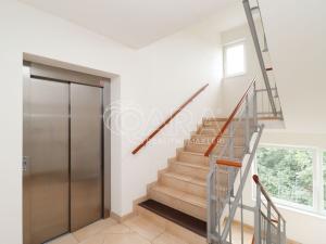 Prodej bytu 1+kk, Praha - Hloubětín, Nademlejnská, 26 m2