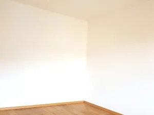 Pronájem bytu 1+1, České Budějovice, Puklicova, 40 m2