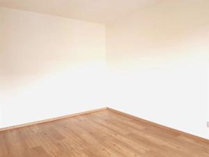 Pronájem bytu 1+1, České Budějovice, Puklicova, 40 m2