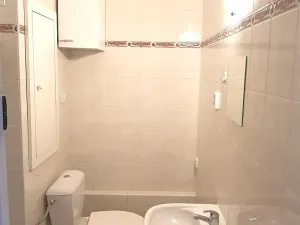 Pronájem bytu 1+1, České Budějovice, Puklicova, 40 m2