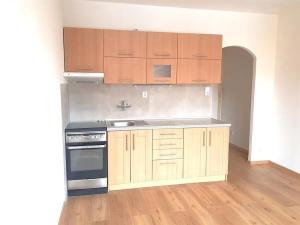 Pronájem bytu 1+1, České Budějovice, Puklicova, 40 m2