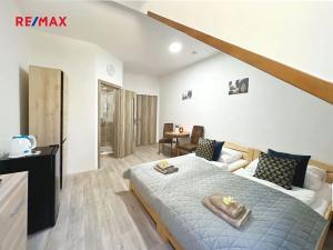 Pronájem atypického bytu, Volary, K. V. Raise, 392 m2