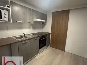 Pronájem bytu 1+kk, Český Krumlov, Stříbrná, 33 m2