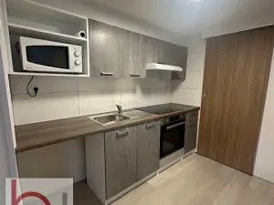 Pronájem bytu 1+kk, Český Krumlov, Stříbrná, 33 m2