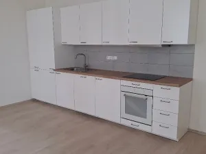 Pronájem bytu 2+kk, Praha - Karlín, Vítkova, 104 m2