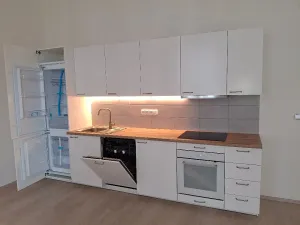 Pronájem bytu 2+kk, Praha - Karlín, Vítkova, 104 m2
