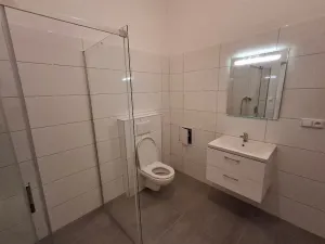 Pronájem bytu 2+kk, Praha - Karlín, Vítkova, 104 m2