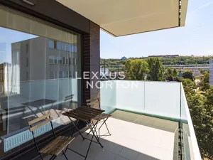 Pronájem bytu 2+kk, Praha - Karlín, Nekvasilova, 67 m2