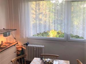 Pronájem bytu 1+1, Jílové - Kamenná, Spojová, 35 m2