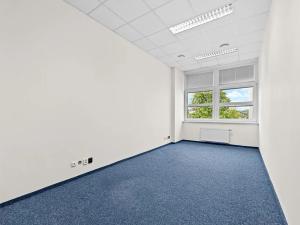 Pronájem skladu, Praha - Podolí, Pod Pekařkou, 46 m2