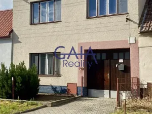 Prodej rodinného domu, Bzenec, Úkolky, 180 m2