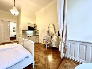 Pronájem bytu 1+kk, Praha - Nové Město, Vodičkova, 31 m2