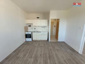 Pronájem bytu 1+1, Hodkovice nad Mohelkou, Podlesí, 36 m2